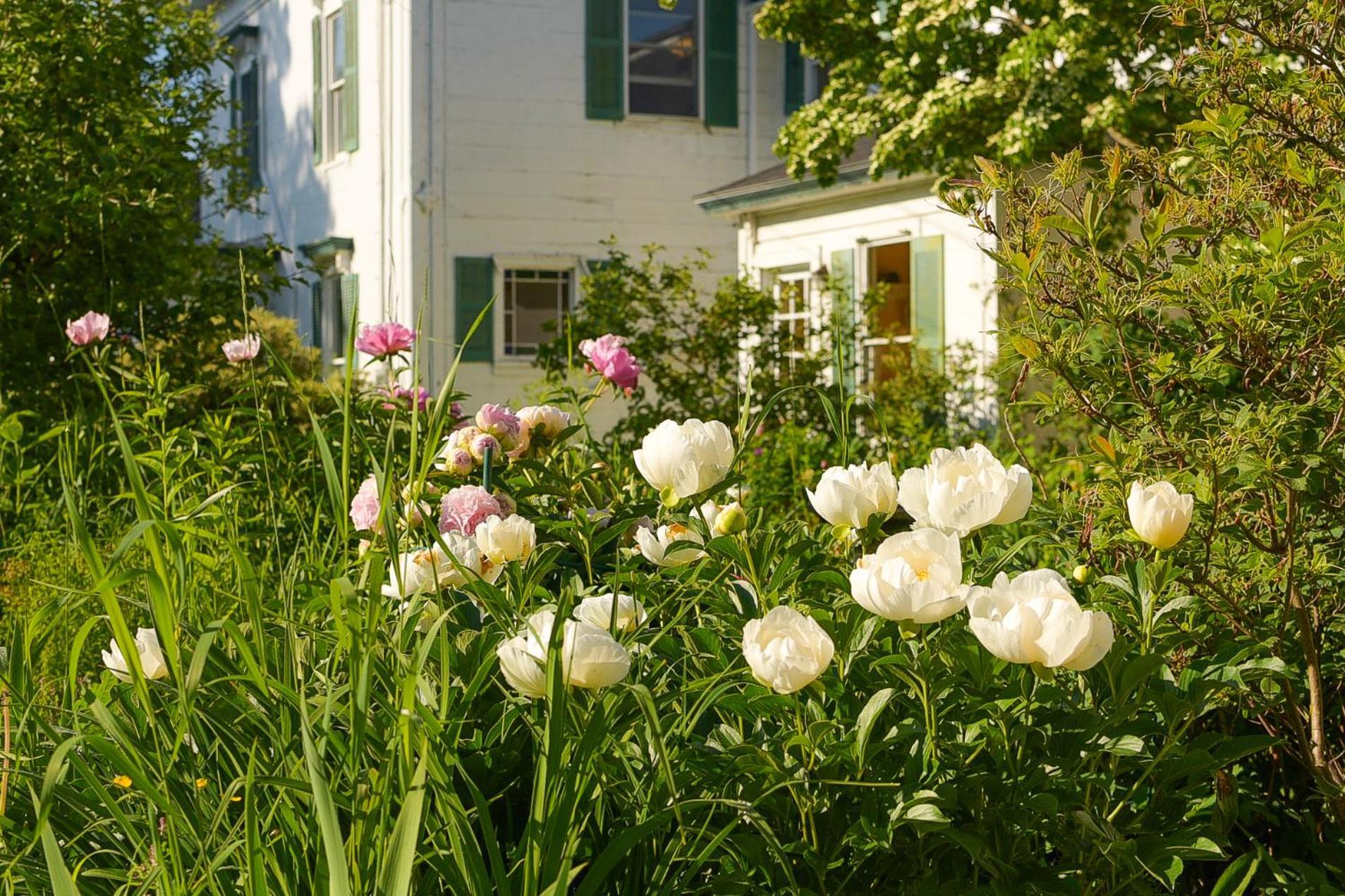 The Waldoboro Inn Exterior foto